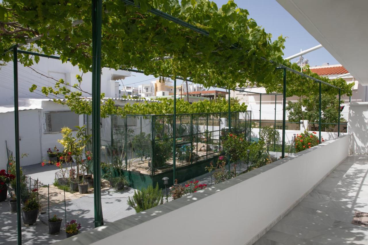 شقة Iliana'S House Zipárion المظهر الخارجي الصورة